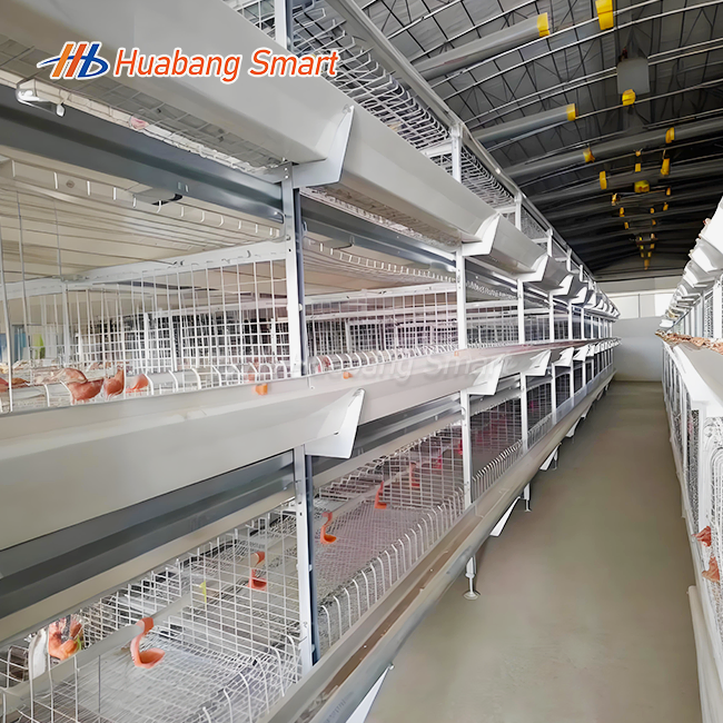 Poultry Chicken Broiler Cage